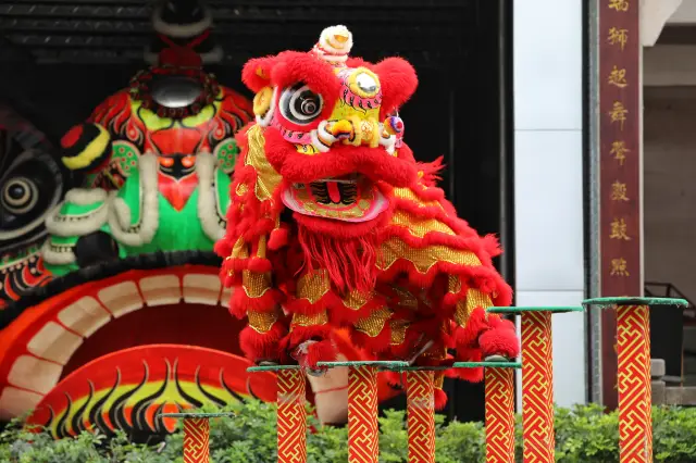 Lion Dance Performances in Foshan