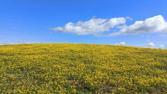 Wild Walnut Valley Scenic Area