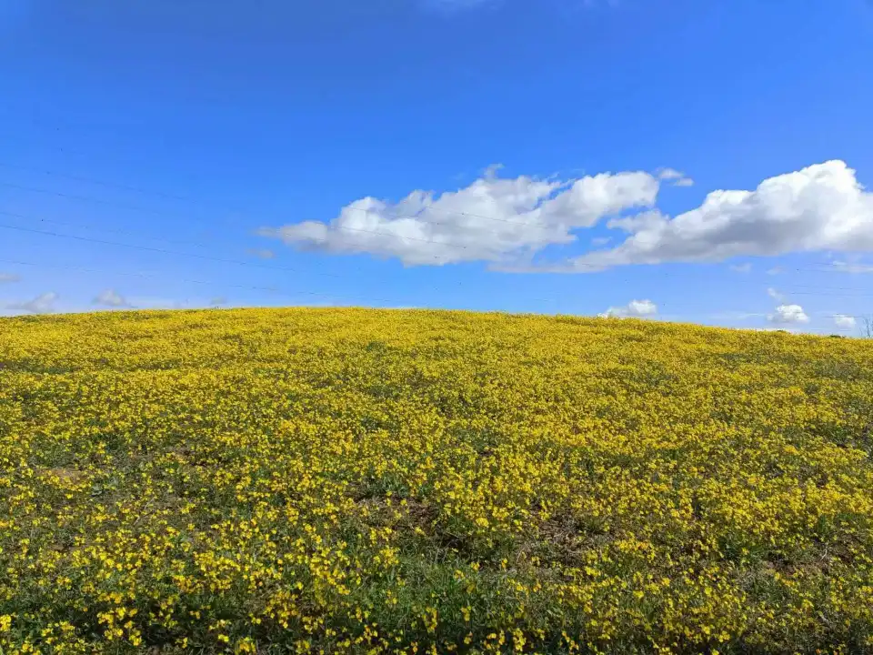 1_Wild Walnut Valley Scenic Area