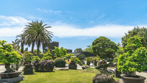 Jeju