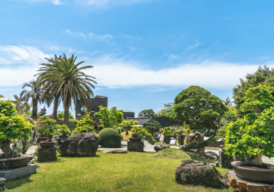Jeju