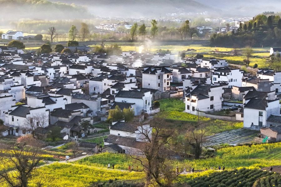 盧村