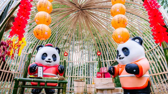 熊貓部落探險樂園