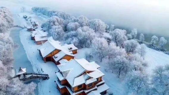 Rime Ice Viewing in Jilin