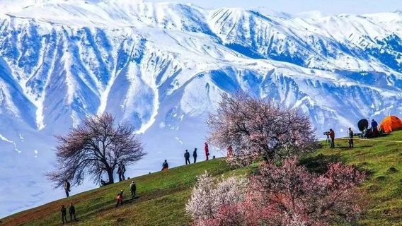 na la ti xing hua gou