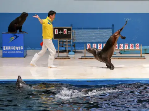 蓬萊海洋極地世界