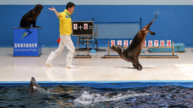 Penglai Polar Ocean World