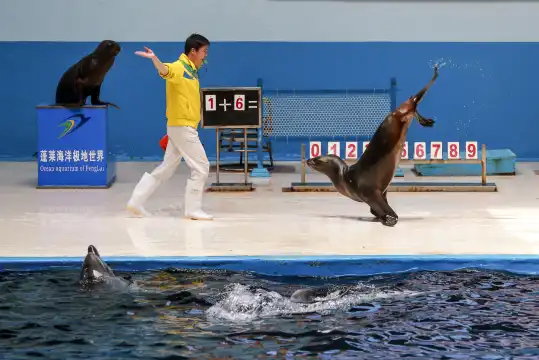 Hotels near Penglai Polar Ocean World