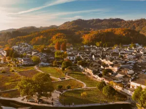 서체(시디춘)