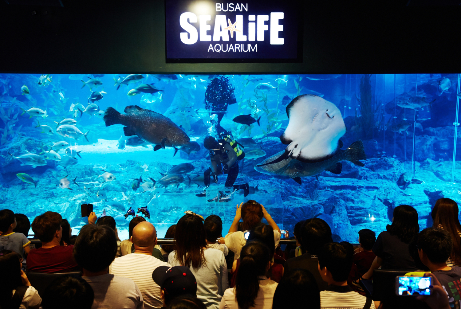SEALIFE Busan Aquarium