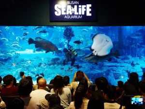 SEALIFE Busan Aquarium
