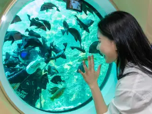西歸浦潛水艇