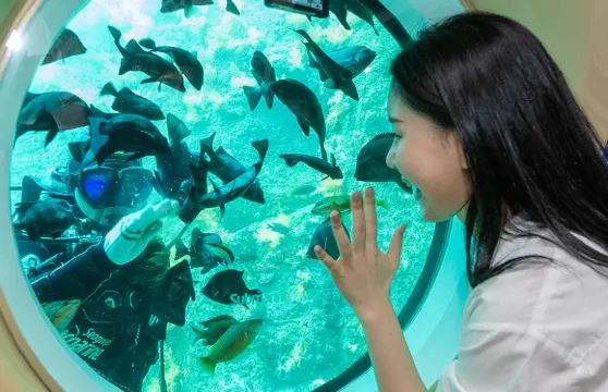 西歸浦潛水艇票成人