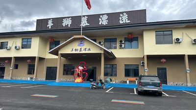 yang shi mu piao liu