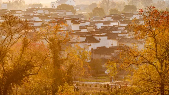 盧村