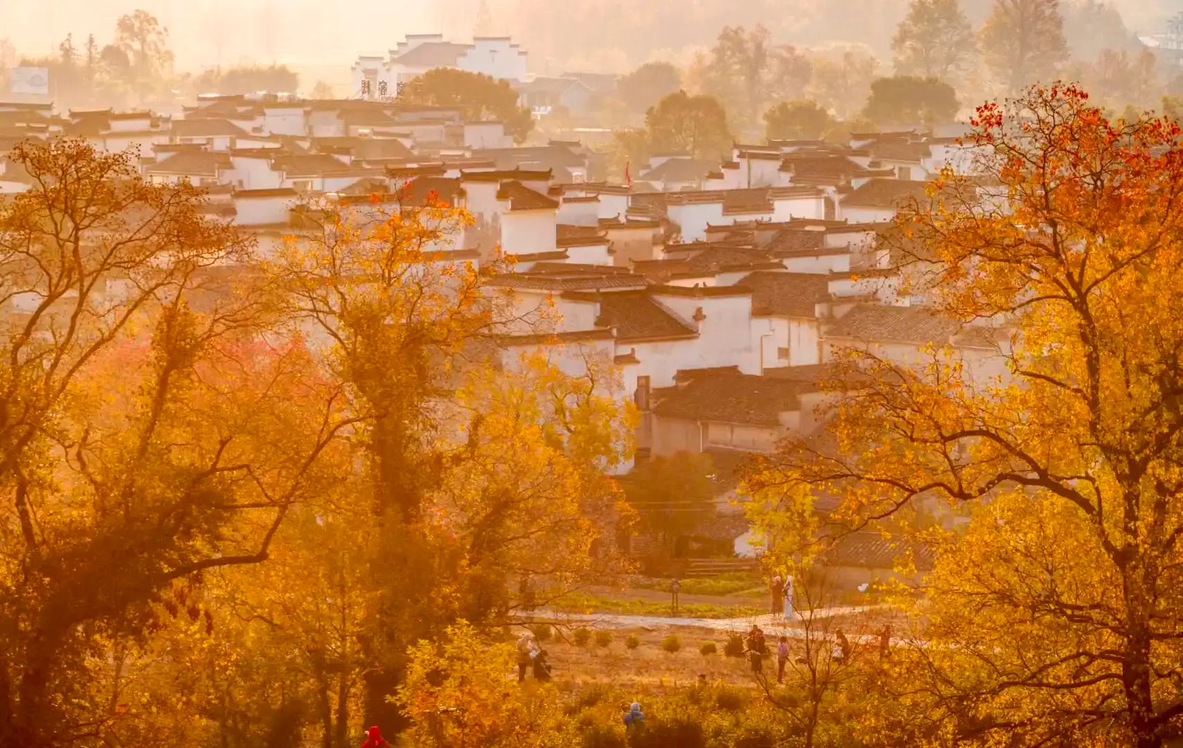 Hotels near Lu Village