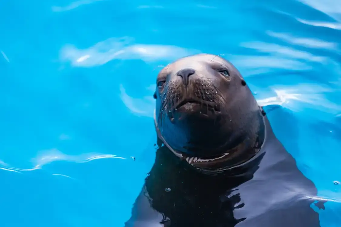 이빈 하이창 해양 탐험관 주변 호텔