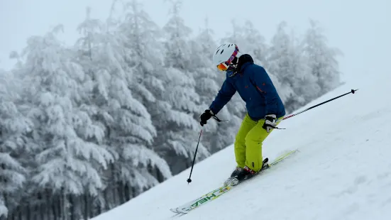 萬龍滑雪場