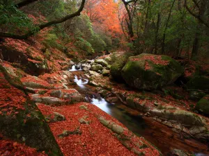 Eighteen Moon Lake Scenic Area