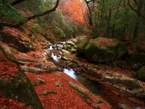 Eighteen Moon Lake Scenic Area
