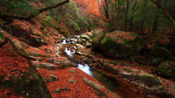 Eighteen Moon Lake Scenic Area