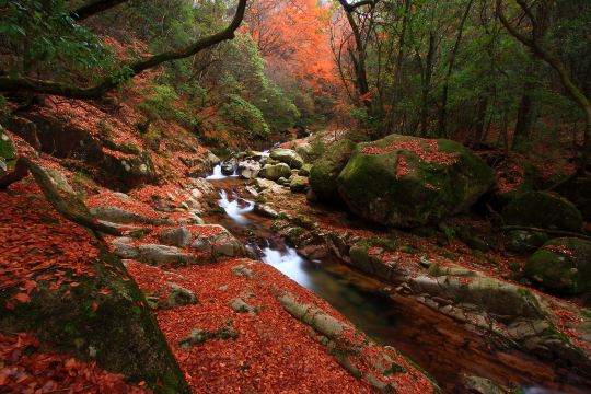 Eighteen Moon Lake Scenic Area