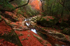 Eighteen Moon Lake Scenic Area