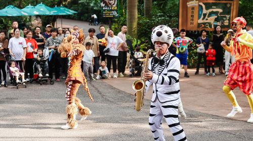 Chimelong Safari Park