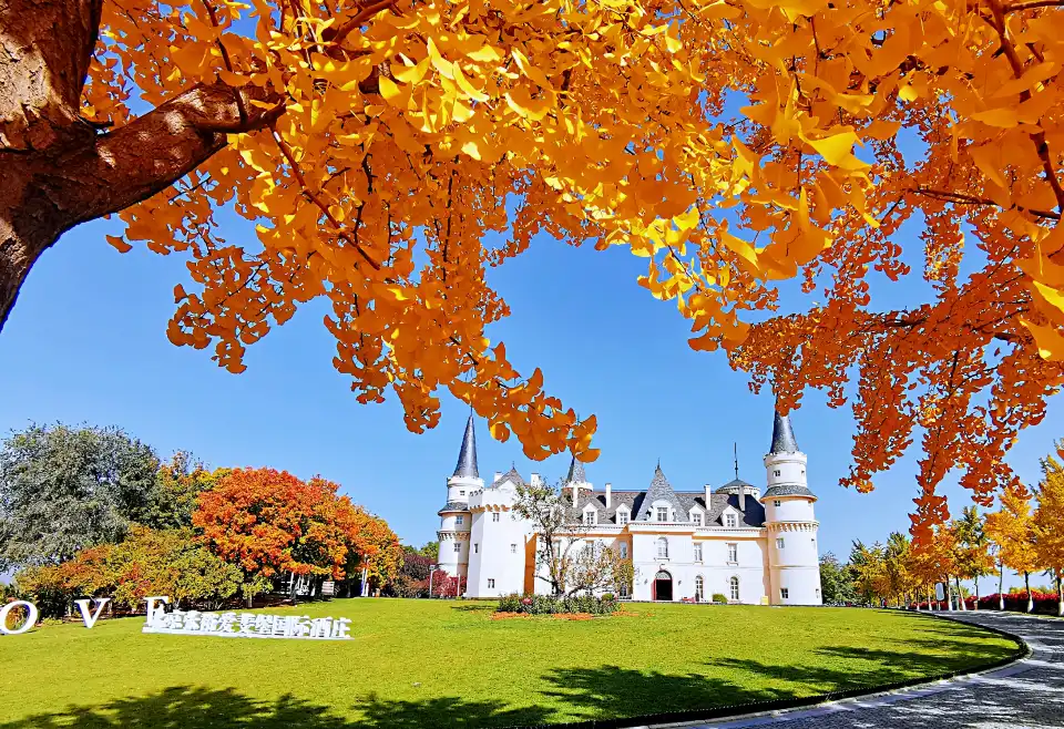 4_Beijing Chateau Changyu Afip Global