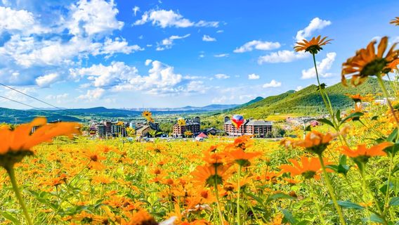 พื้นที่รีสอร์ททะเลสาบบันคีมูน