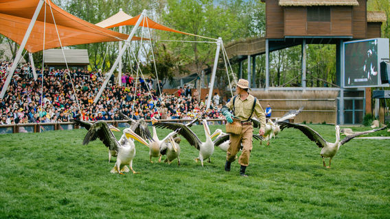 Yoo Town Qilihai Resort