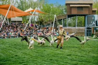 Yoo Town Qilihai Resort