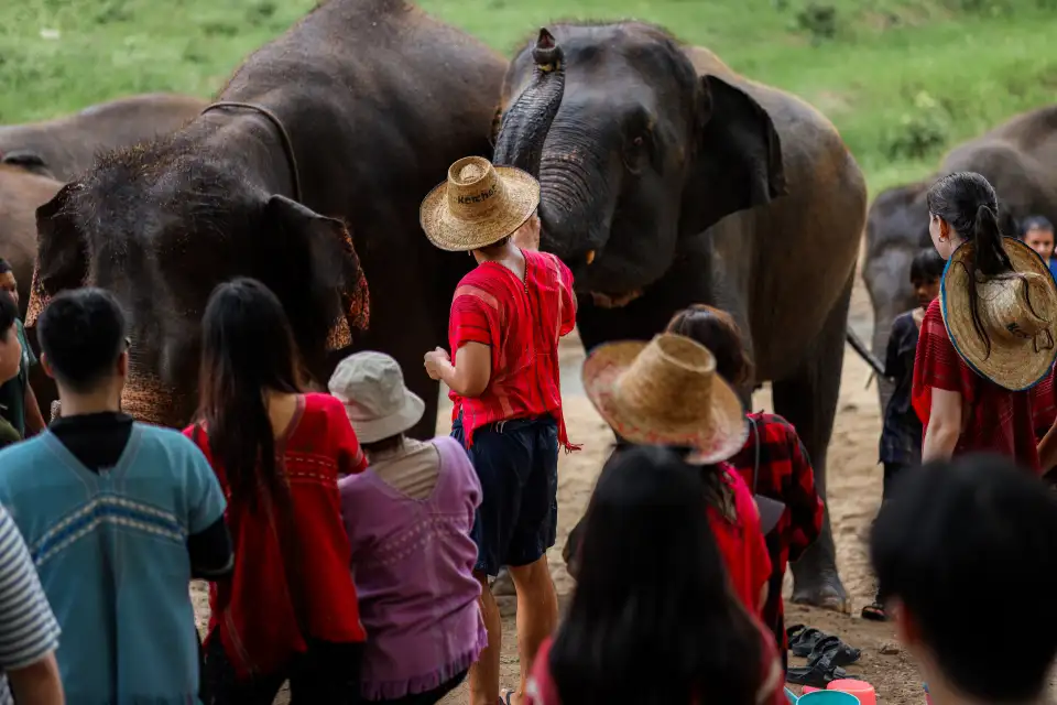 4_Kerchor​ elephant​ eco​ park​
