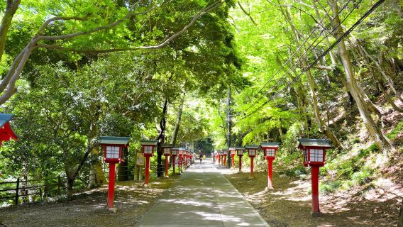 Takaosan Yakuo-in Temple