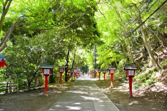 Takaosan Yakuo-in Temple