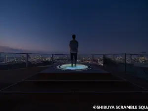 東京的熱門夜間人氣景點