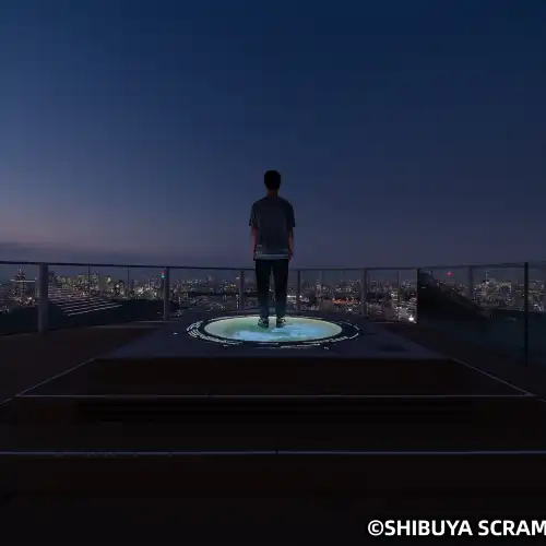 Top 50 Night Attractions in Tokyo