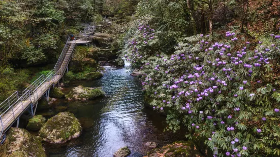 龍蒼溝國家級森林公園