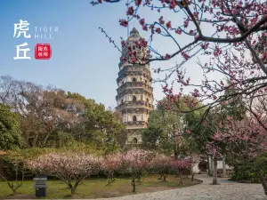 虎丘山風景名勝區