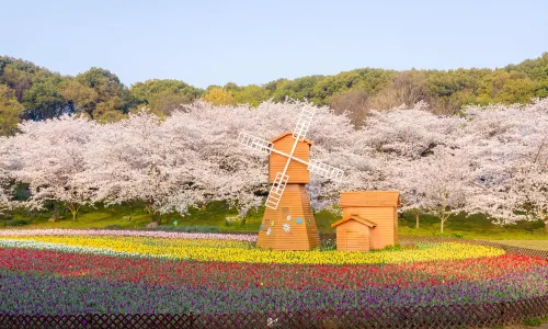 蘇州上方山國家森林公園