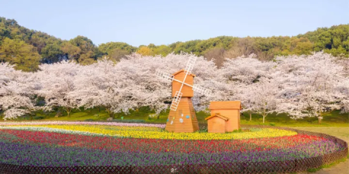 蘇州上方山國家森林公園