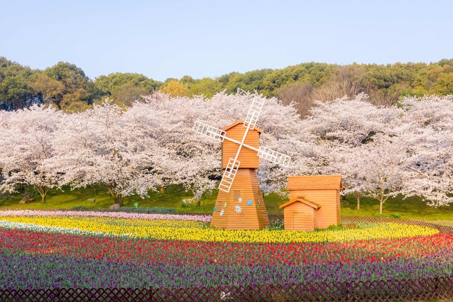 蘇州上方山國家森林公園