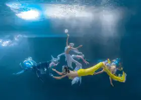 Grandview Aquarium