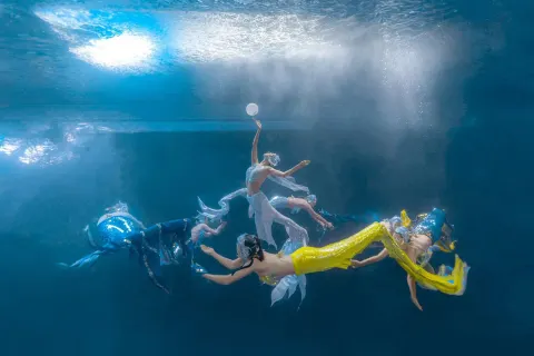 Grandview Aquarium