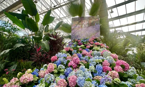 Shenyang Expo Garden