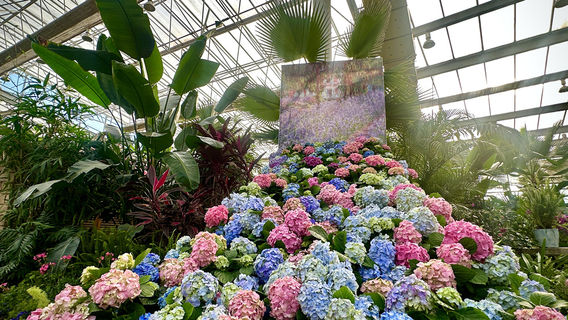 Shenyang Expo Garden