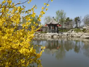 浜州の人気春旅におすすめ