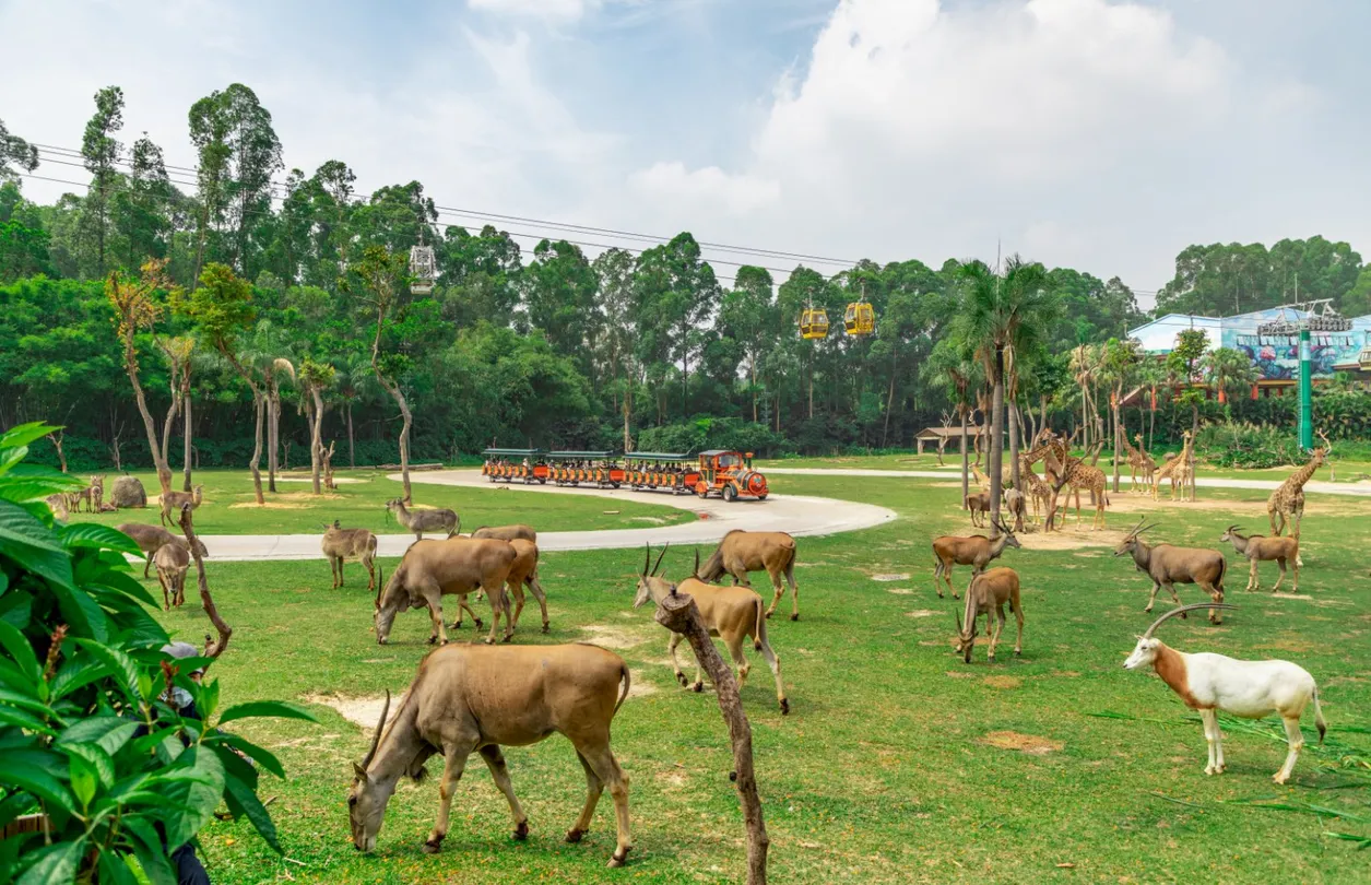 1_Chimelong Safari Park
