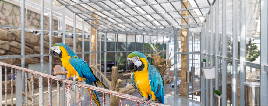 Osan Bird Park
