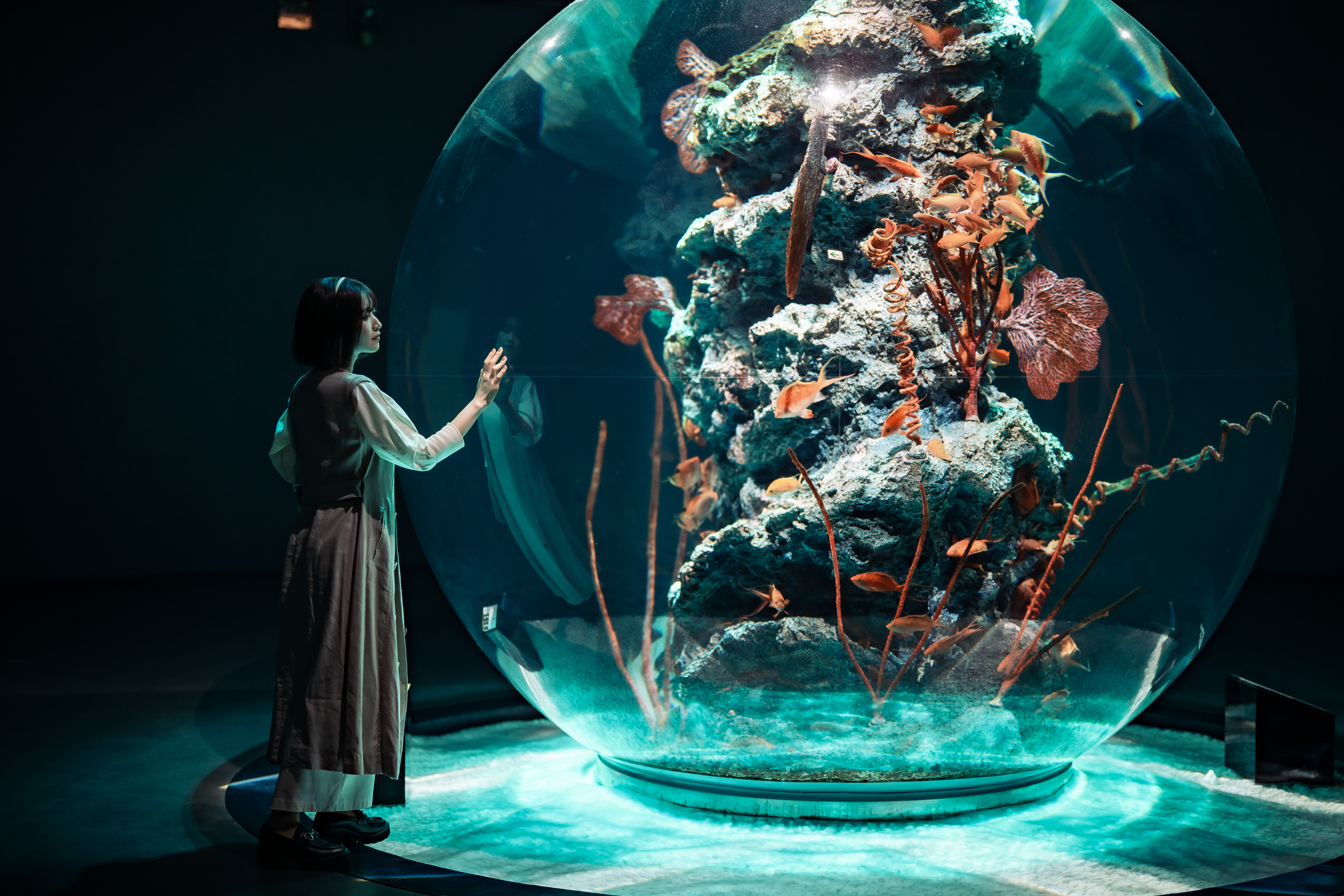 神戸ポートミュージアム AQUARIUM×ART átoa 入場Eチケット＋神戸1日周遊バス乗車券 予約